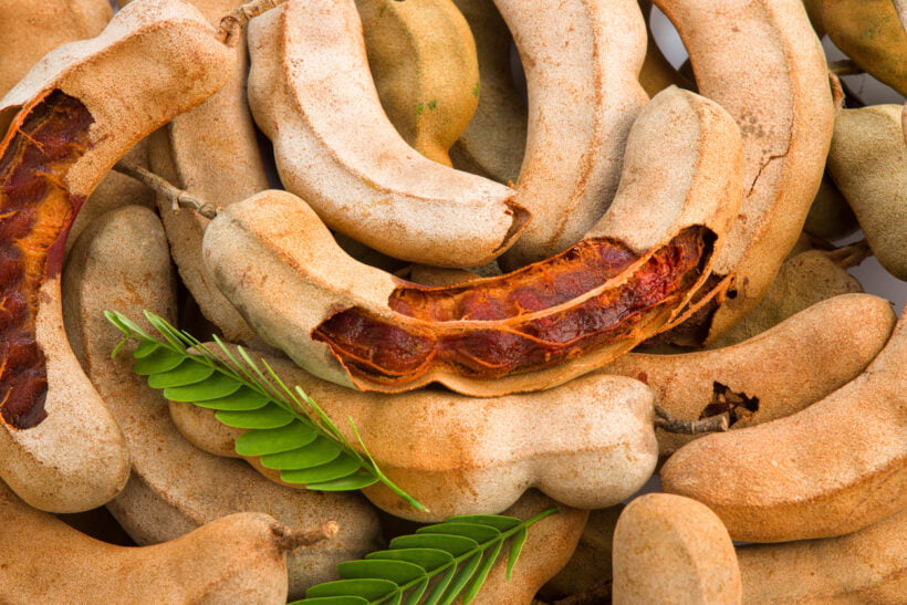 Tamarind תמרינדי תמרהינדי