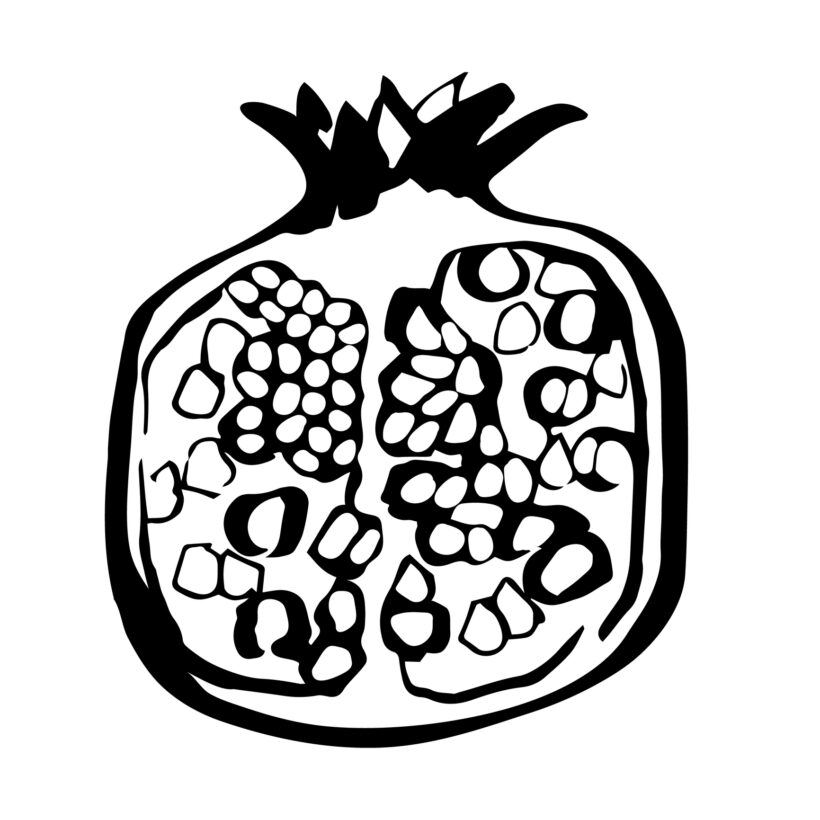 Pomegranate Fruit Illustration